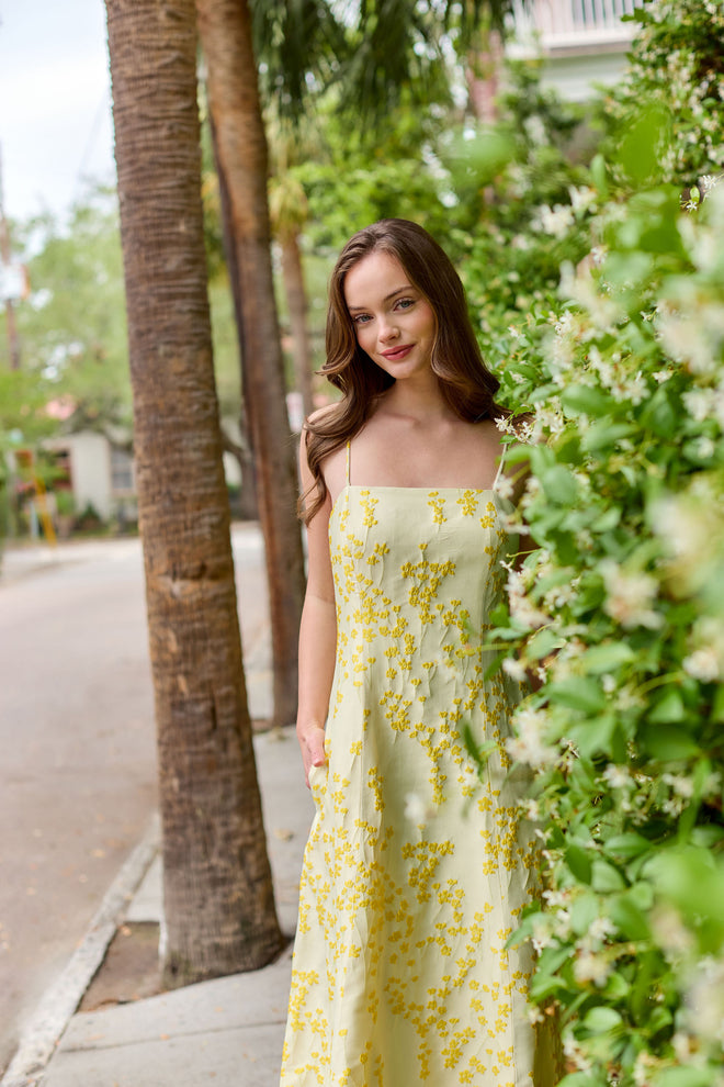 Aria
